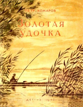 Петр Комаров Золотая удочка обложка книги