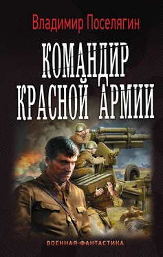 Владимир Поселягин Командир Красной Армии [litres] обложка книги