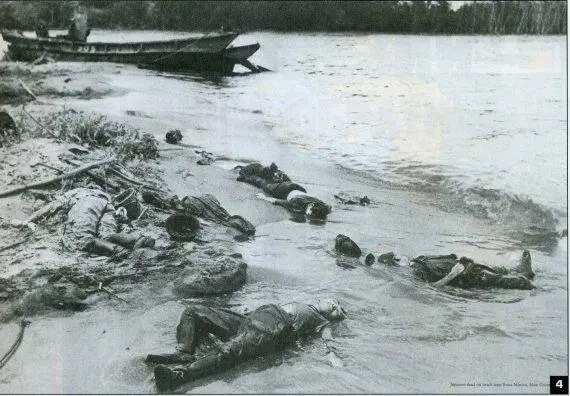 4 После высадки Буна Новая Гвинея 1943 г Хорошо подготовленный и - фото 4