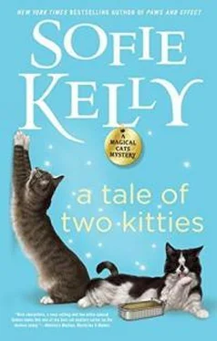 Софи Келли A Tale Оf Two Kitties обложка книги