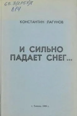 Константин Лагунов И сильно падает снег обложка книги