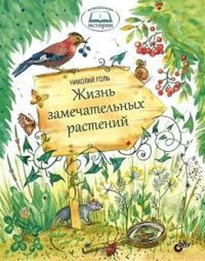 Николай Голь Жизнь замечательных растений обложка книги