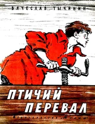 Вячеслав Тычинин - Птичий перевал