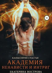 Екатерина Вострова - Канцелярия счастья. Академия ненависти и интриг