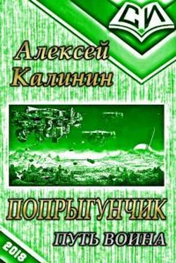 Алексей Калинин Путь воина обложка книги