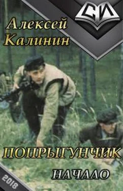 Алексей Калинин Начало [СИ] обложка книги