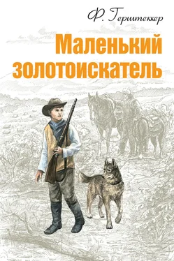 Фридрих Герштеккер Маленький золотоискатель обложка книги