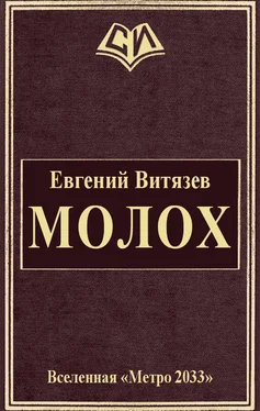 Евгений Витязев Молох обложка книги