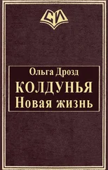Ольга Дрозд - Колдунья. Новая жизнь