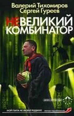 Валерий Тихомиров Невеликий комбинатор обложка книги