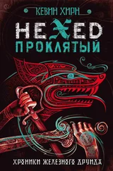 Кевин Хирн - Проклятый. Hexed [litres]