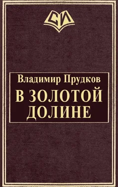 Владимир Прудков В золотой долине обложка книги