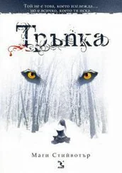 Мэгги Стивотер - Тръпка
