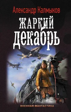 Александр Калмыков Жаркий декабрь [авторский текст] обложка книги