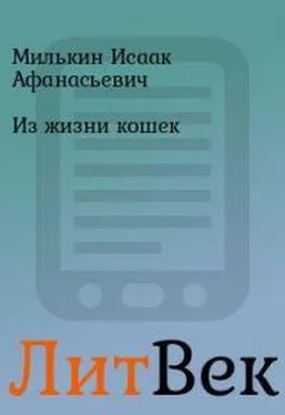 Исаак Милькин Из жизни кошек обложка книги