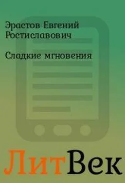 Евгений Эрастов Сладкие мгновения обложка книги