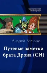 Андрей Величко - Путевые заметки брата Дрона (СИ)