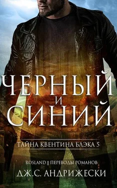 Дж Андрижески Чёрный и синий обложка книги