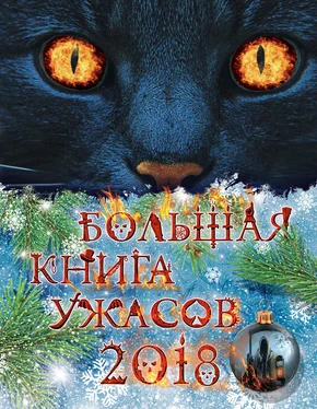 Елена Арсеньева Большая книга ужасов 2018 обложка книги