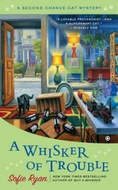 Софи Райан A Whisker Оf Trouble обложка книги