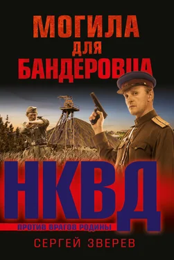 Сергей Зверев Могила для бандеровца обложка книги