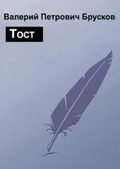 Валерий Брусков - Тост