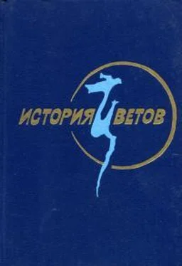 Ким Ирён История цветов обложка книги