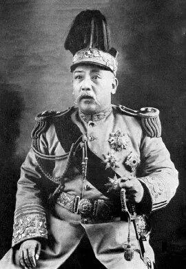 О Китайской революции и о генерале Юань Шикае существует обширная литература в - фото 56