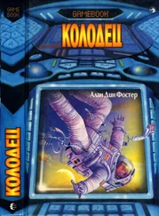 Алан Дин Фостер - Колодец