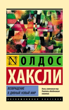 Олдос Хаксли Возвращение в дивный новый мир [litres] обложка книги