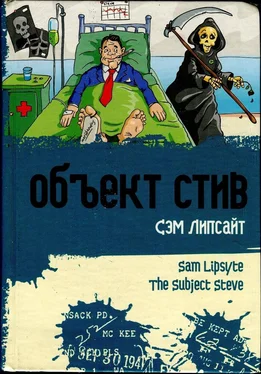 Сэм Липсайт Объект Стив обложка книги