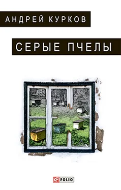 Андрей Курков Серые пчелы обложка книги