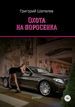 Григорий Шепелев Охота на поросёнка обложка книги