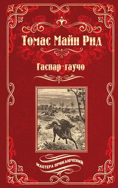 Томас Рид Гаспар-гаучо. Затерявшаяся гора обложка книги