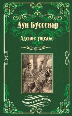 Луи Буссенар Адское ущелье. Канадские охотники (сборник) обложка книги