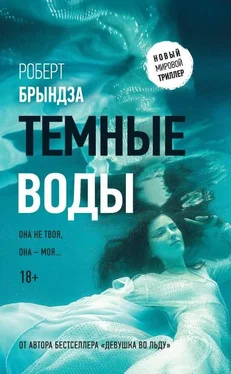 Роберт Брындза Темные воды [litres с оптимизированной обложкой] обложка книги