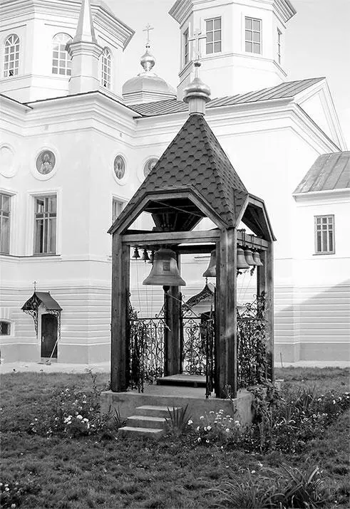 Не сумев сломить волю юной племянницы тетушка скрепя сердце согласилась - фото 54