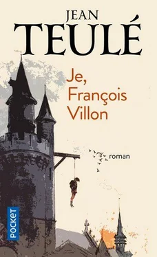Jean Teulé Je, François Villon обложка книги