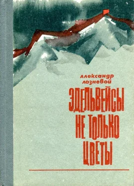 Александр Лозневой Эдельвейсы — не только цветы обложка книги