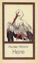 Иштван Фекете - Келе