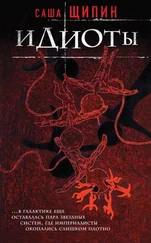 Александр Щипин - Идиоты [сборник]