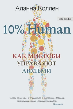 Аланна Коллен 10% Human. Как микробы управляют людьми обложка книги