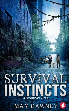 May Dawney Survival Instincts обложка книги