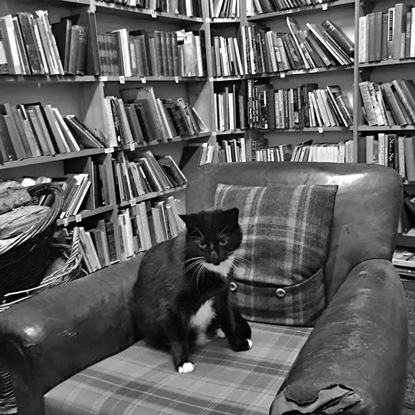 Август Как и большинство букинистических магазинов мы делали разную побочную - фото 5