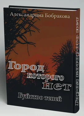 Александрина Бобракова Город которого нет. Буйство теней [СИ] обложка книги