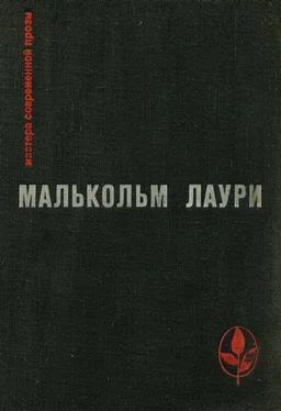 Малькольм Лаури У подножия вулкана. Рассказы. Лесная тропа к роднику обложка книги