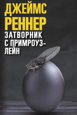 Джеймс Реннер Затворник с Примроуз-лейн обложка книги