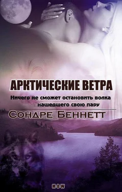 Сондре Беннетт Арктические Ветра обложка книги