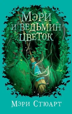 Мэри Стюарт Мэри и ведьмин цветок обложка книги