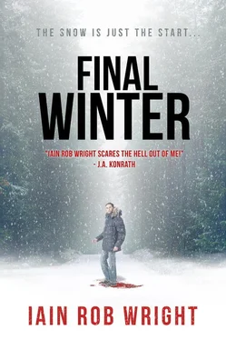 Йен Райт The Final Winter обложка книги